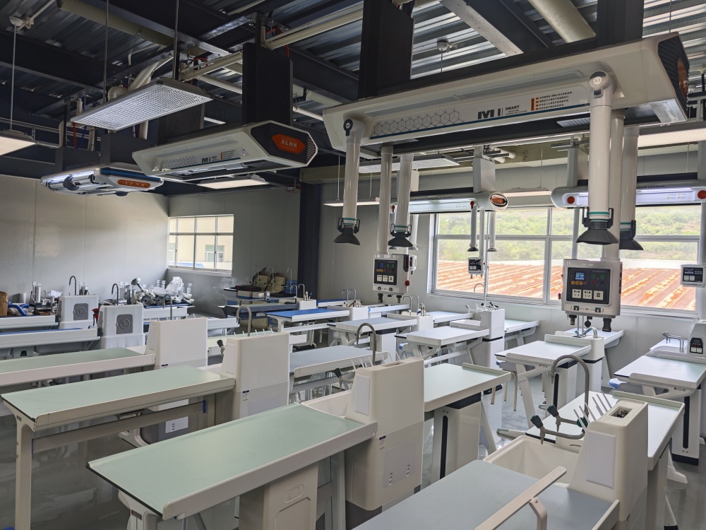 專業(yè)定制，品質保證：量身打造最適合您的理化生智能吊裝實驗室