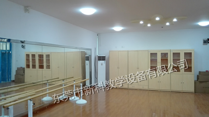 <a href='http://m.kbexpo.cn/chanpin/59-1.html' target='1' style='font-size:18px; font-weight:bold; color:#000000;'>舞蹈室</a>