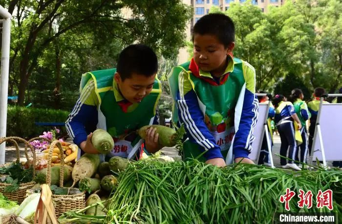 資料圖：2020年9月25日，蘭州市紅山根小學“心根農(nóng)莊”里上演了一場特別的豐收節(jié)會。　崔琳　攝
